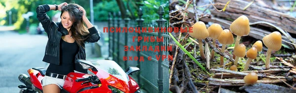 MESCALINE Богданович